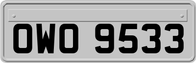OWO9533