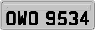 OWO9534