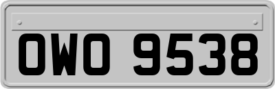 OWO9538