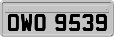 OWO9539