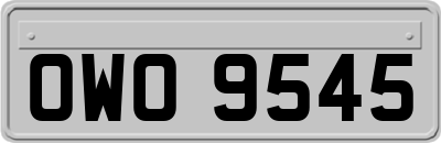 OWO9545