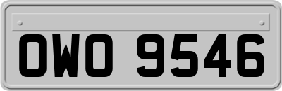 OWO9546