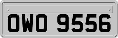 OWO9556