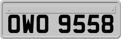 OWO9558