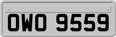 OWO9559