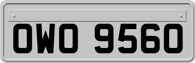 OWO9560