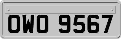 OWO9567