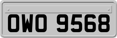 OWO9568
