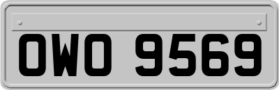 OWO9569