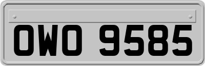OWO9585