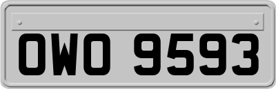 OWO9593