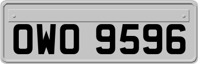 OWO9596