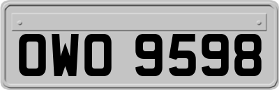 OWO9598
