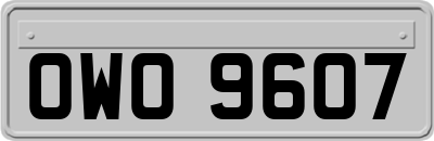 OWO9607