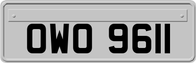 OWO9611