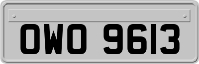 OWO9613