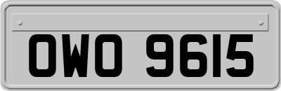 OWO9615