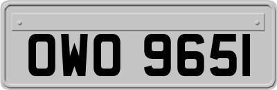 OWO9651