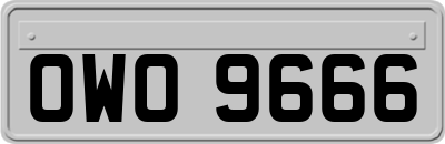 OWO9666