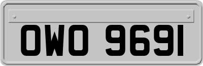 OWO9691