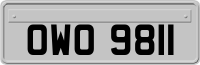 OWO9811