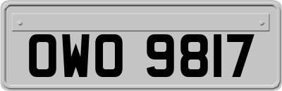 OWO9817