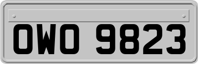 OWO9823