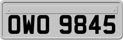 OWO9845
