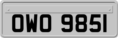 OWO9851