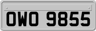 OWO9855