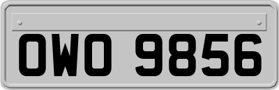 OWO9856