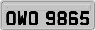 OWO9865