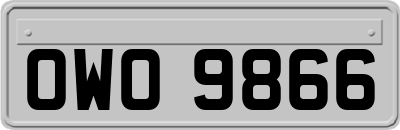 OWO9866