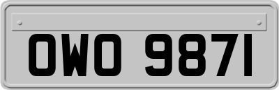 OWO9871