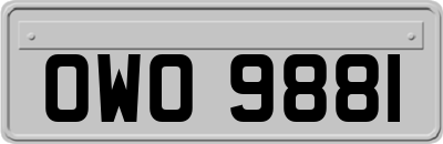 OWO9881