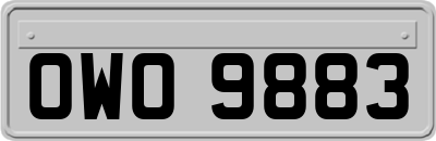 OWO9883