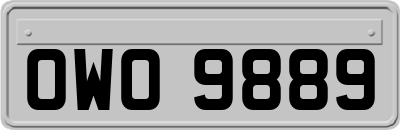 OWO9889