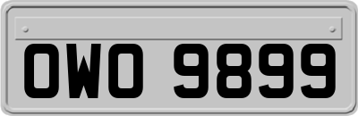OWO9899