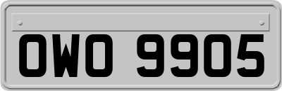 OWO9905