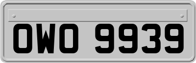 OWO9939