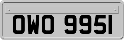 OWO9951