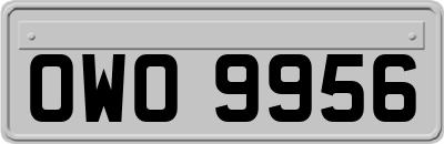 OWO9956