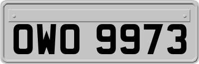 OWO9973
