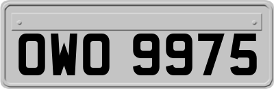 OWO9975