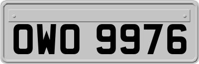OWO9976