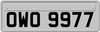OWO9977