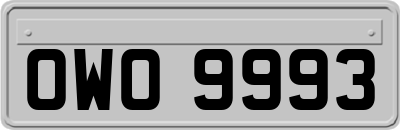 OWO9993