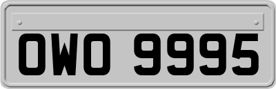 OWO9995