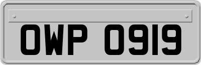 OWP0919