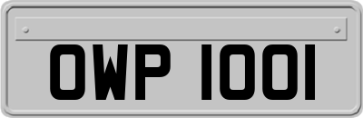 OWP1001